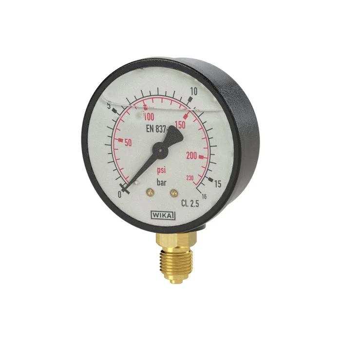 Zertifiziert RIEGLER Glyzerinmanometer, Kunststoff, G 1/4 unten, 0 - 6,0 bar, Ø 63