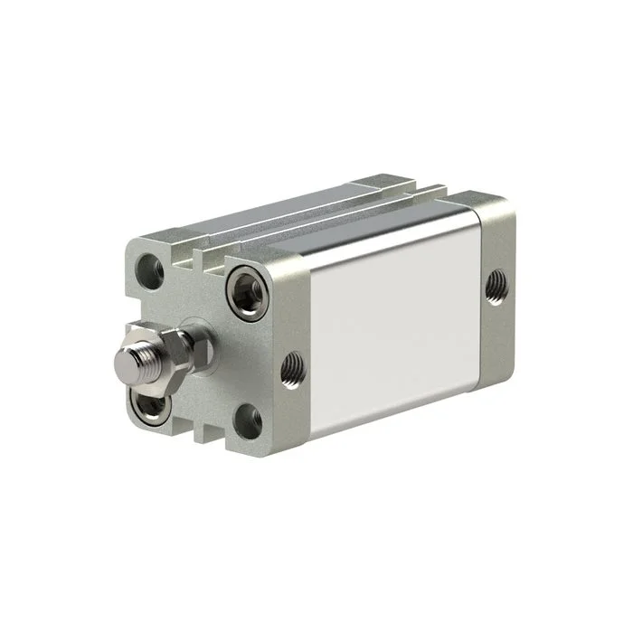 Zertifiziert RIEGLER Kompaktzylinder, doppeltwirkend, AG, K-Ø63, Hub30, G1/8, ISO21287